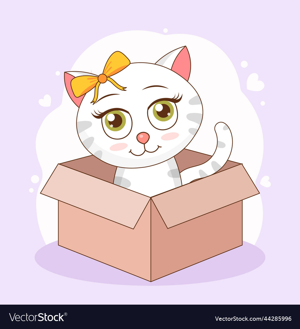 Cat in box vector image Cat in box