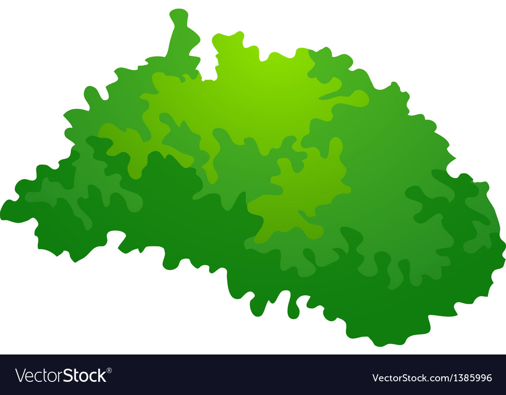 Isolated Bush Icon
