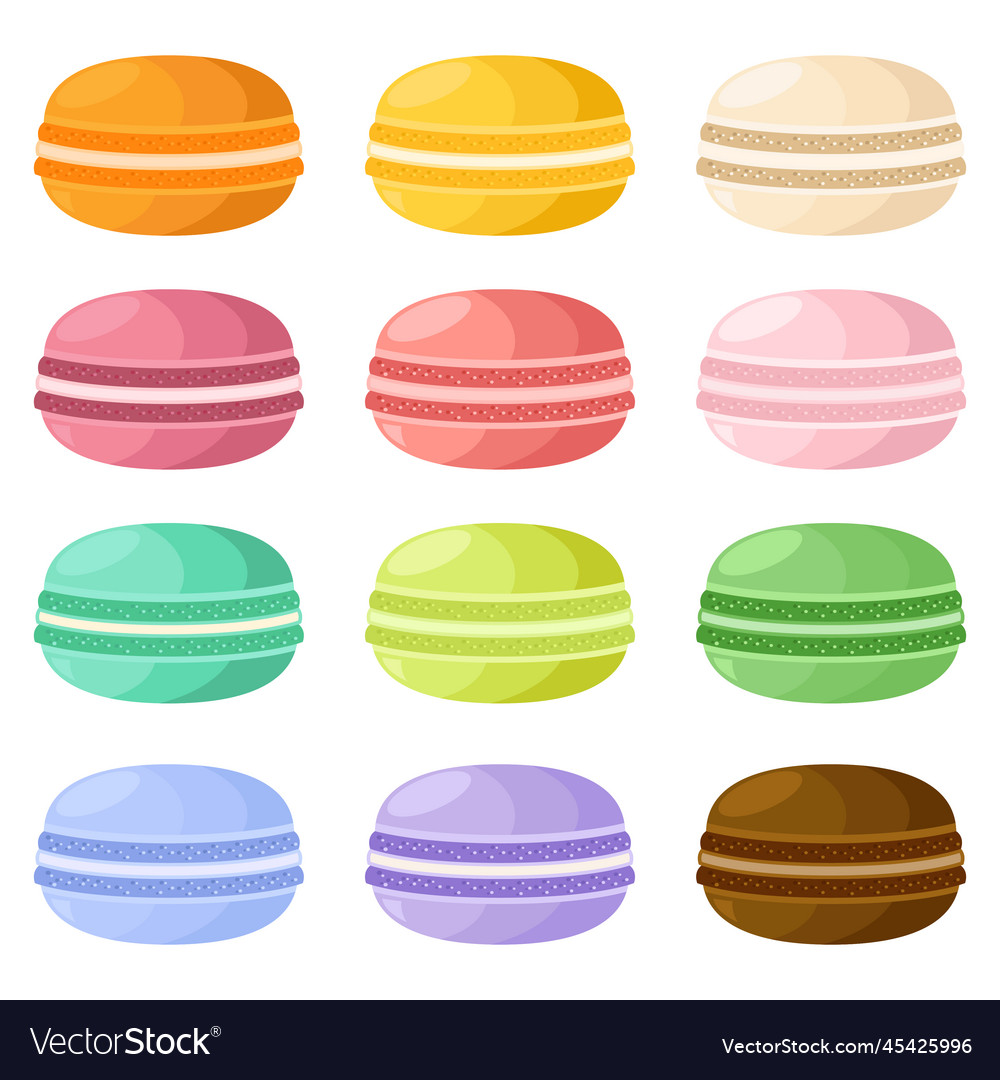 Set of different taste macaroons different color Vector Image