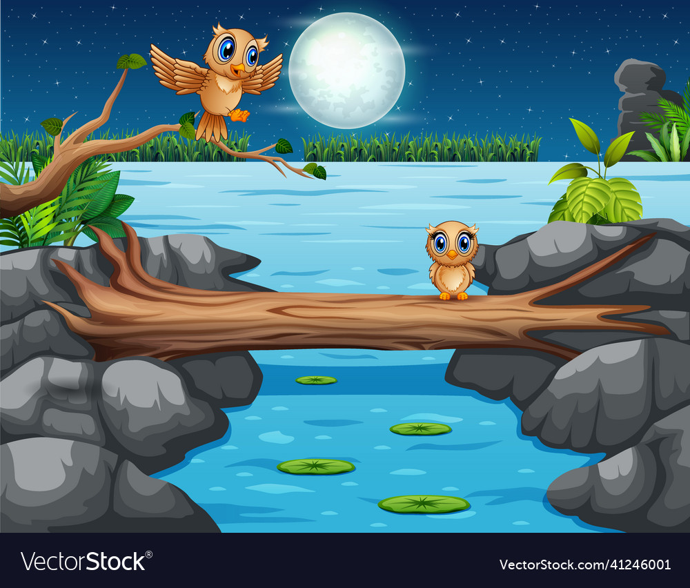 Cute owls cartoon on a log bridge at night landsca