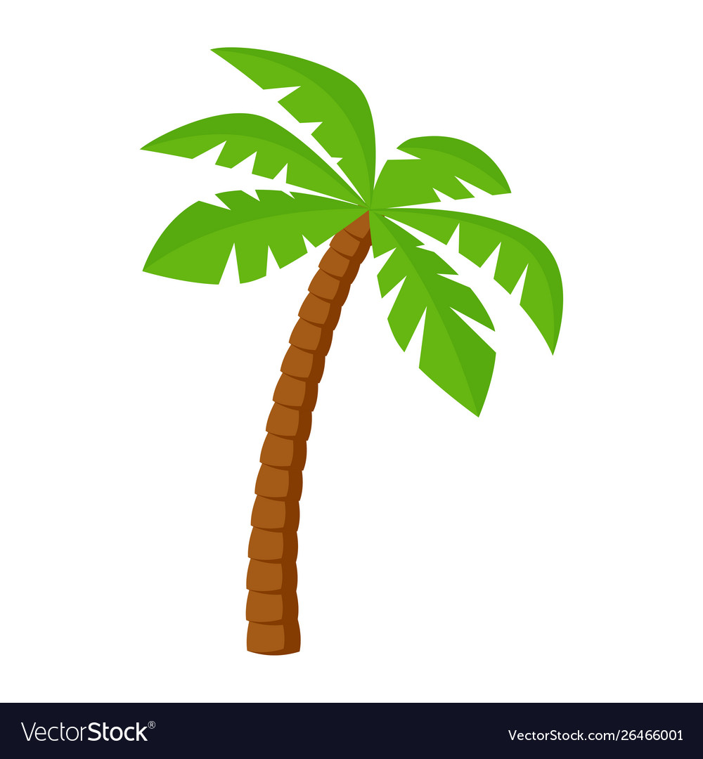 palm tree vector