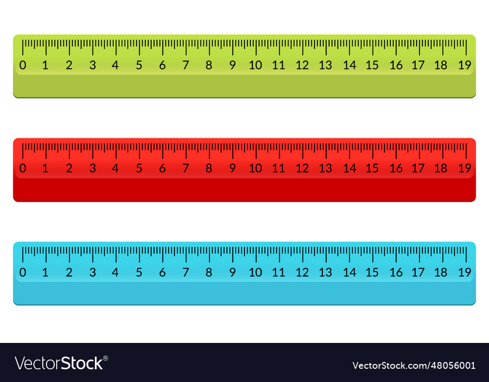 Ruler school flat centimeter scale inch rule Vector Image