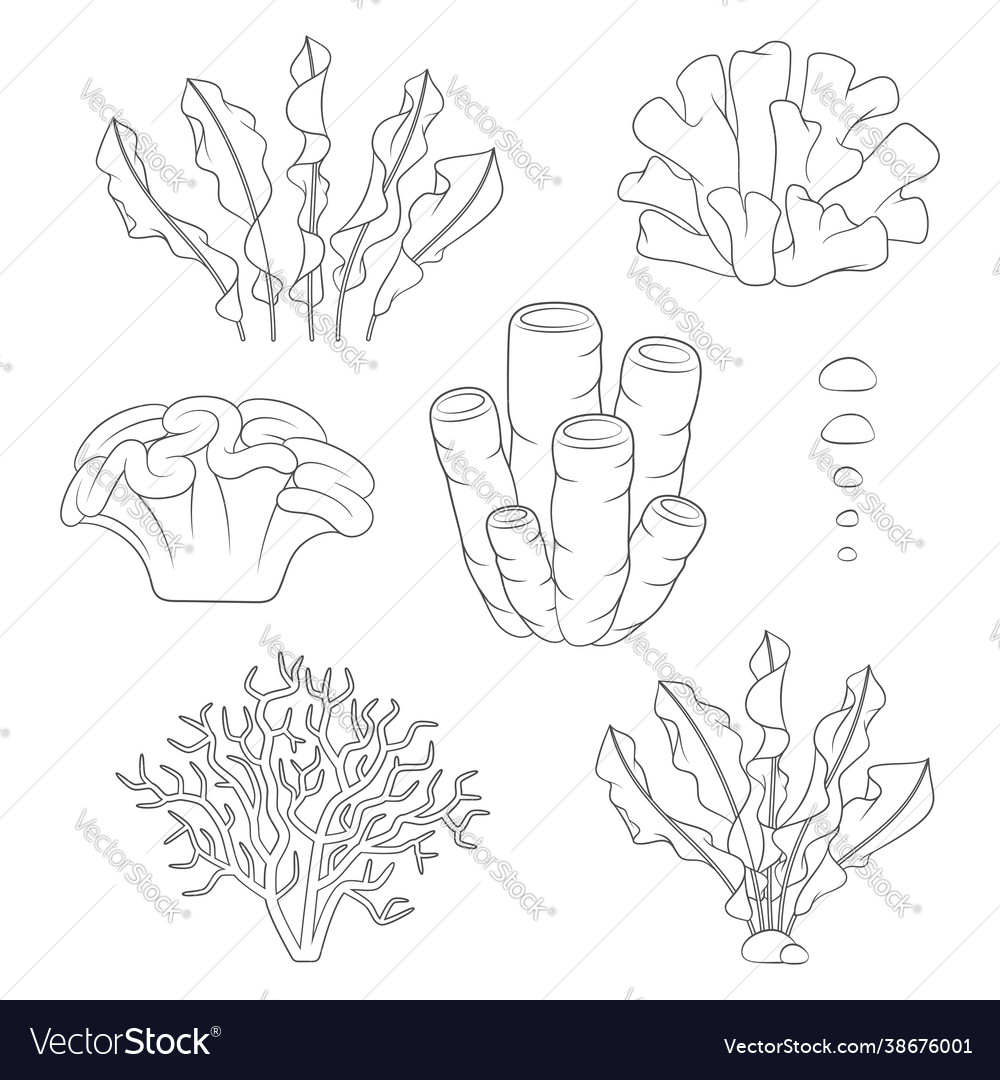 Set black and white with corals Royalty Free Vector Image