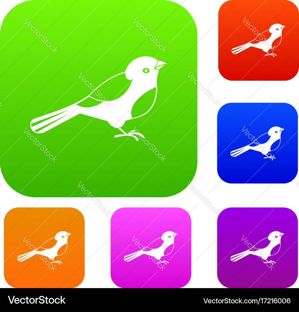 Bird set collection Royalty Free Vector Image - VectorStock