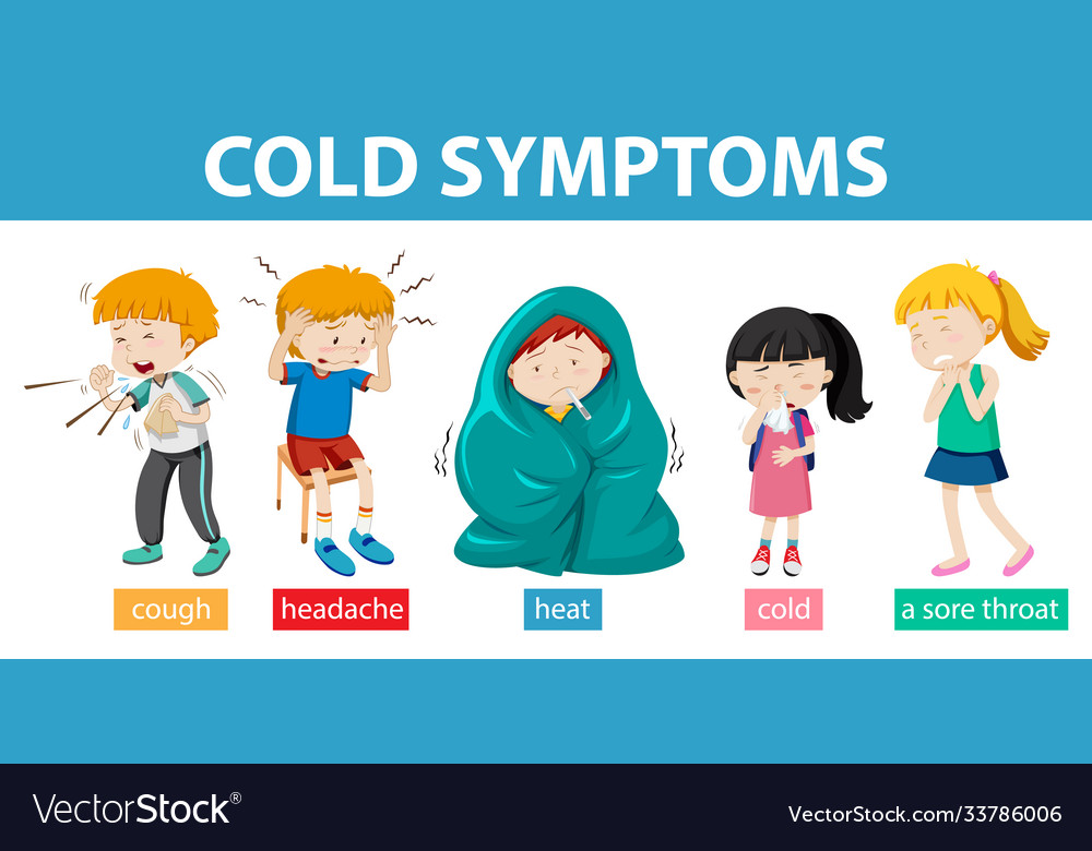 Medical infographic cold symptoms Royalty Free Vector Image