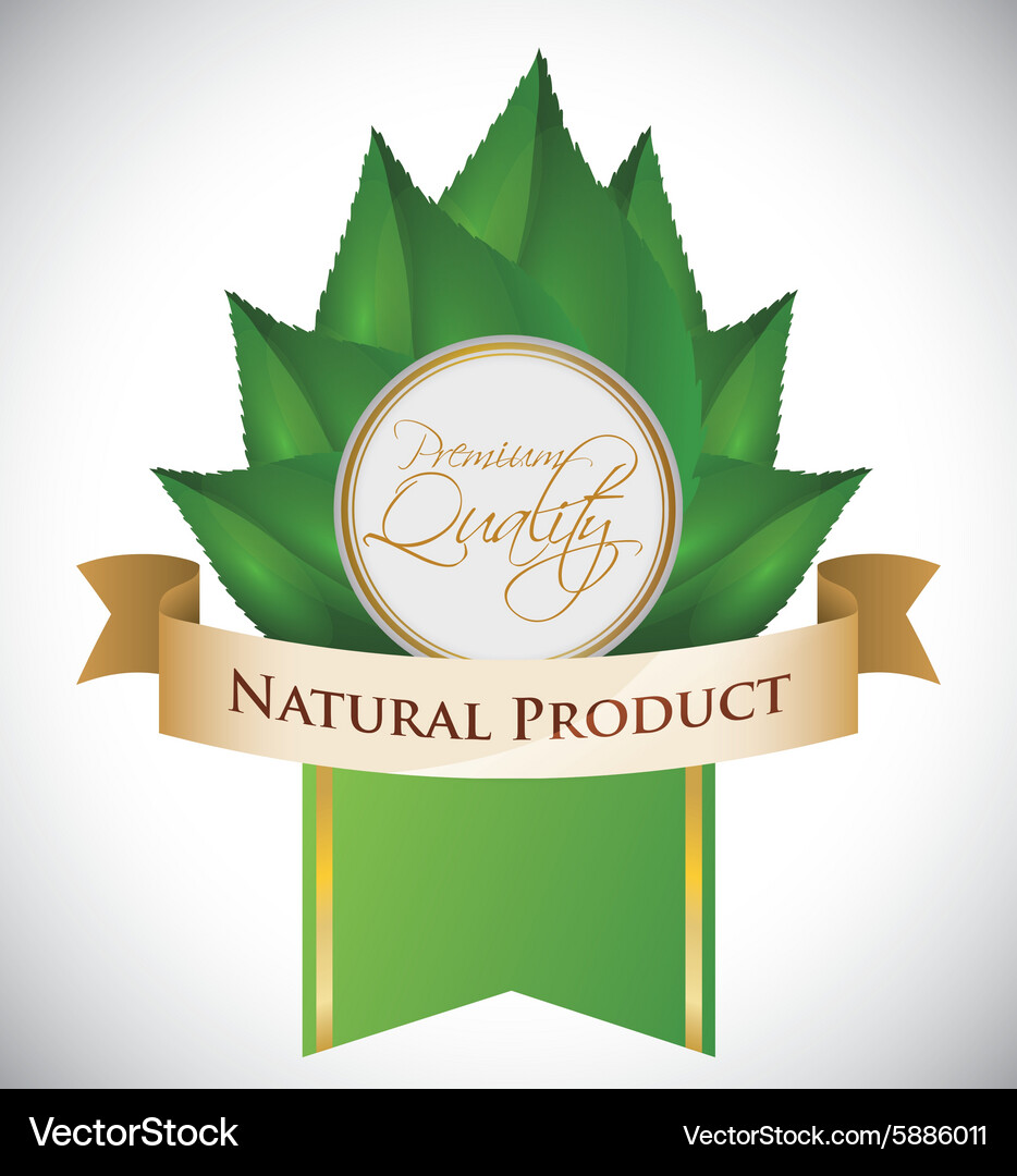 Natural product design Royalty Free Vector Image