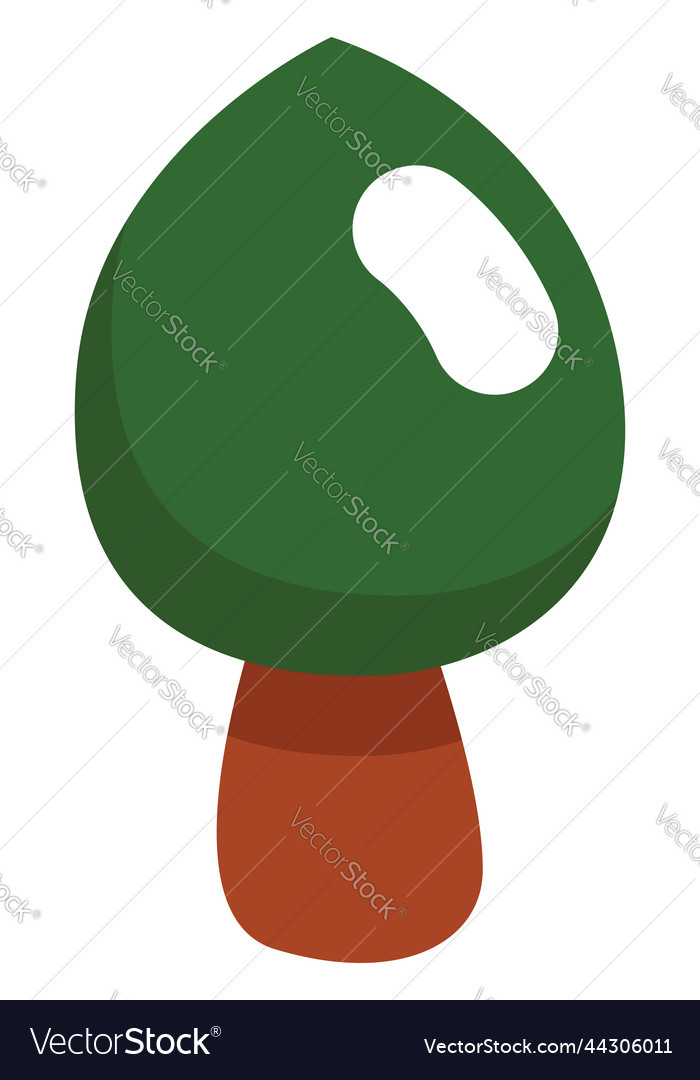 Tree in summer on a white background