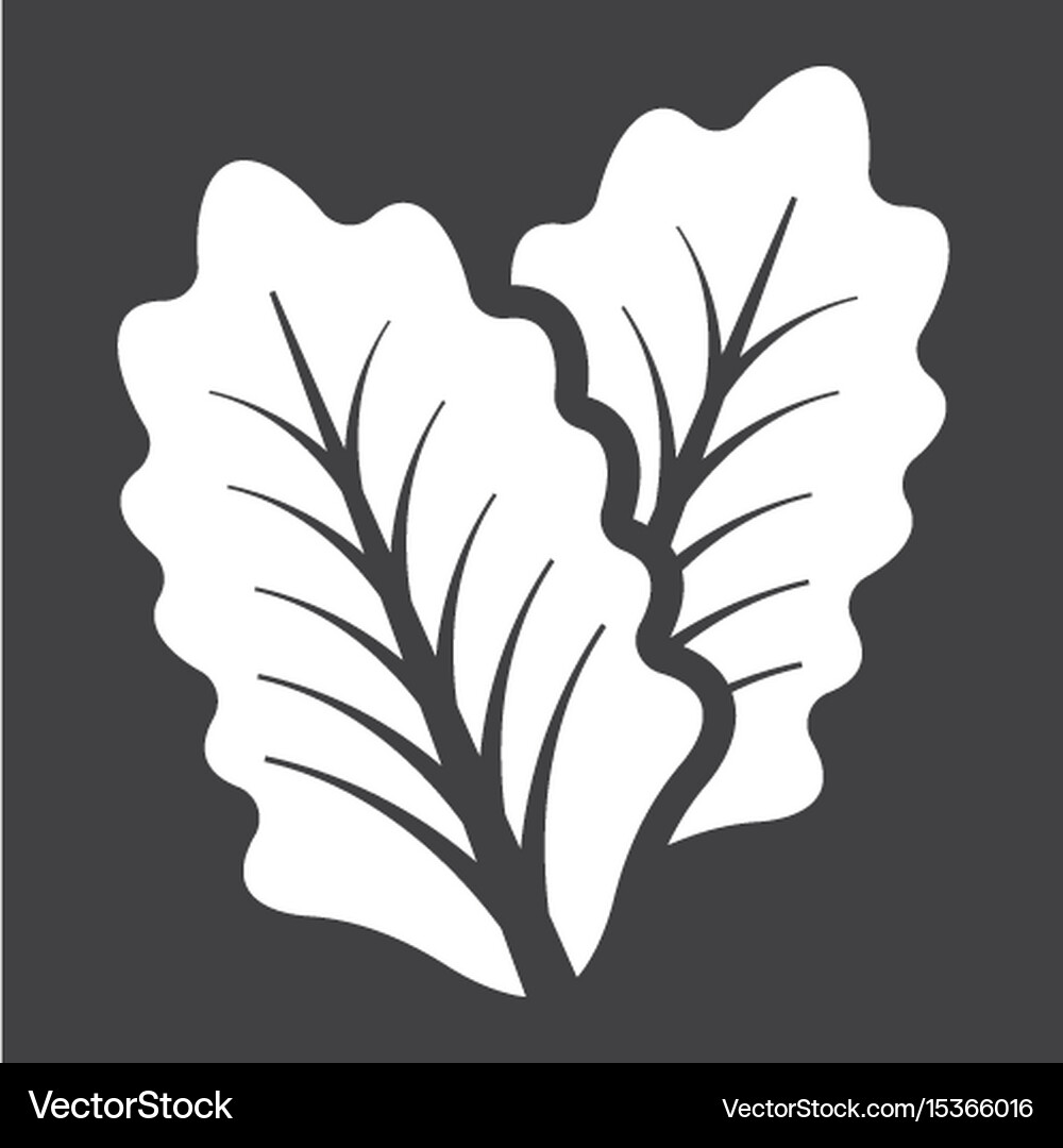 Lettuce solid icon vegetable and salad leaf Vector Image