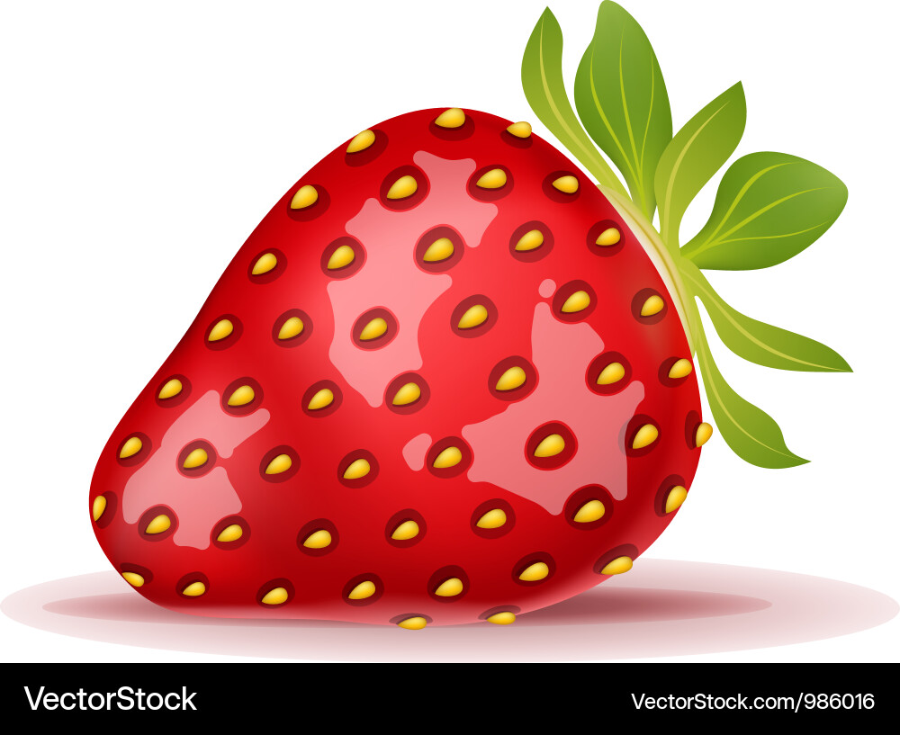 Strawberry Royalty Free Vector Image - VectorStock