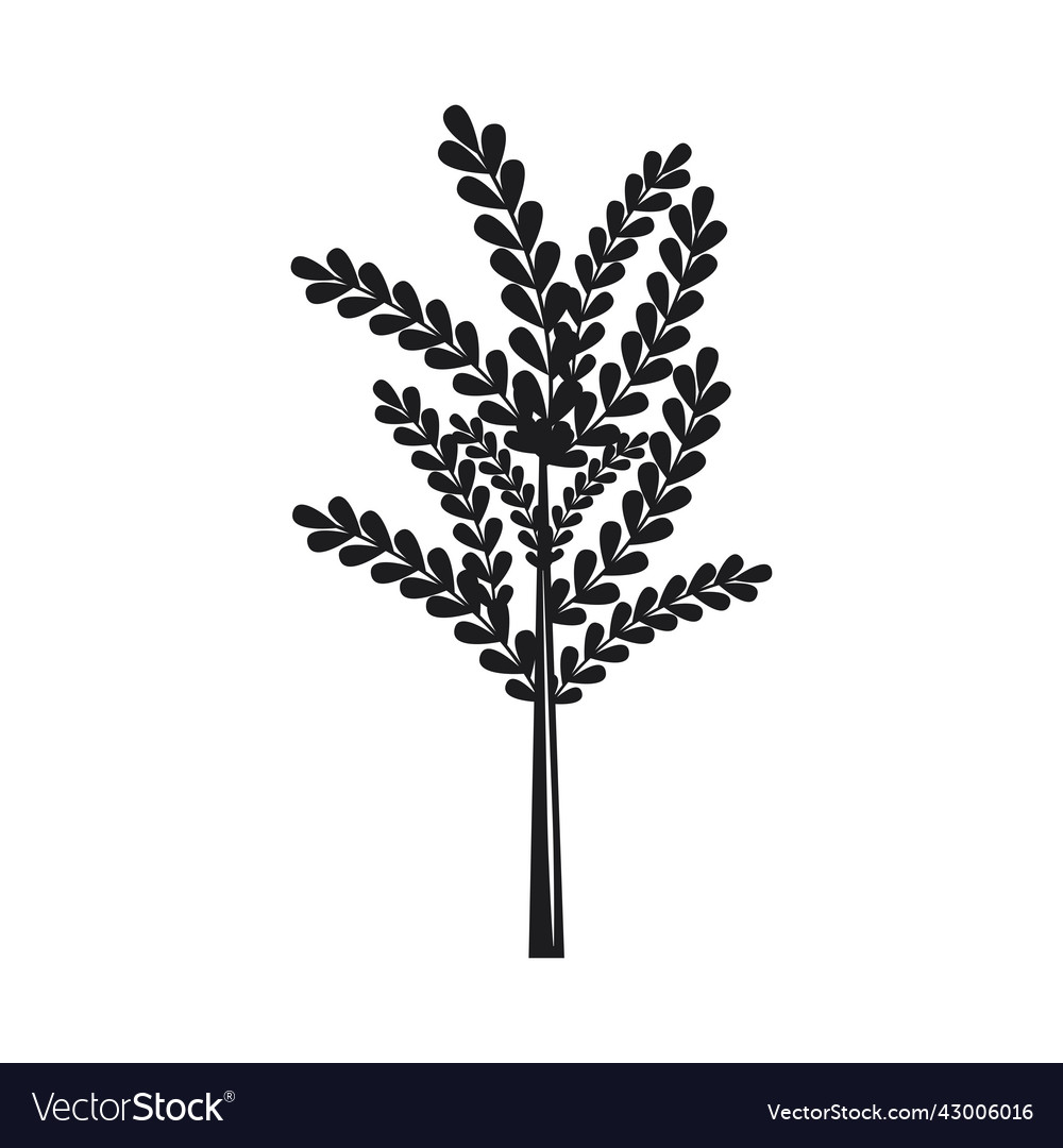 Texture tree foliage Royalty Free Vector Image