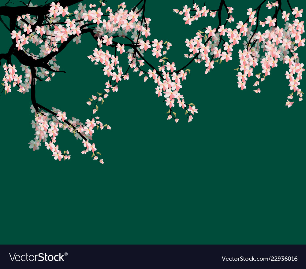 Watercolor sakura frame background with blossom