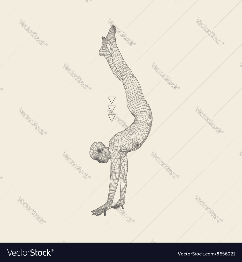 Gymnast man 3d model of human body