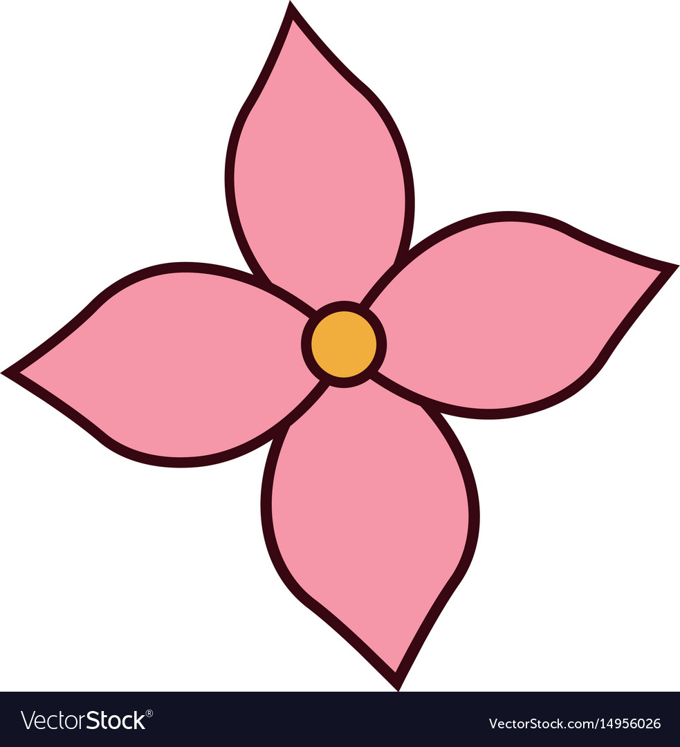 Pink flower spring decoration beauty design Vector Image