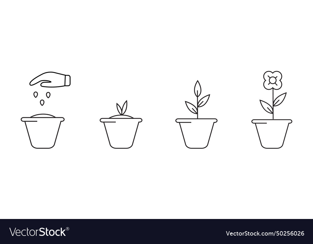 To plant plants seedling set of linear icons