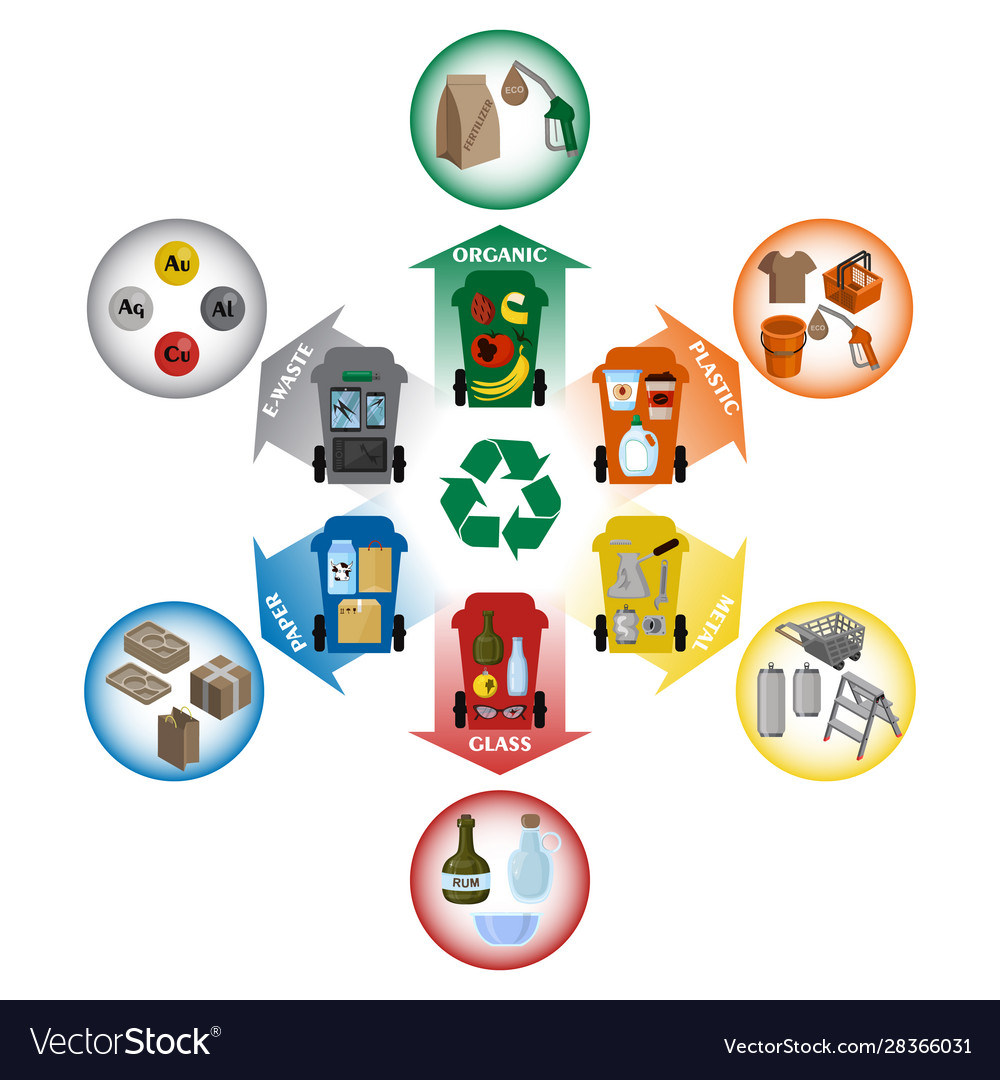 Different types solid waste organic plastic Vector Image