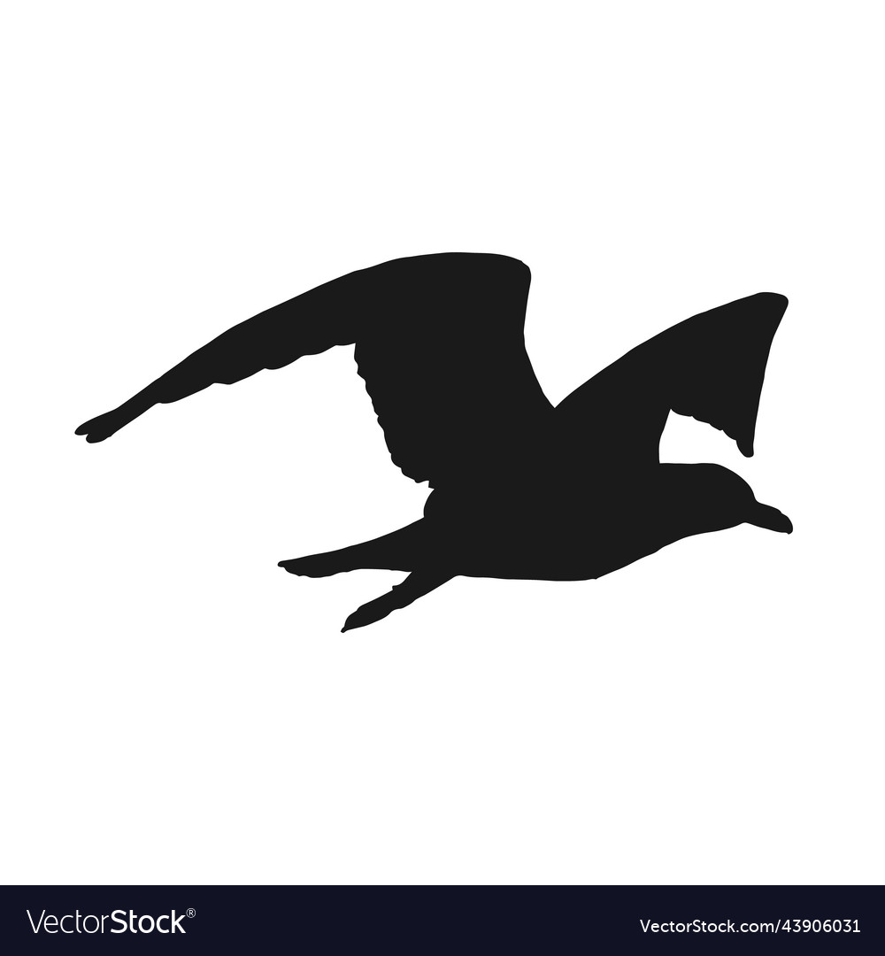 Silhouette of flying seagulls hand drawn Vector Image