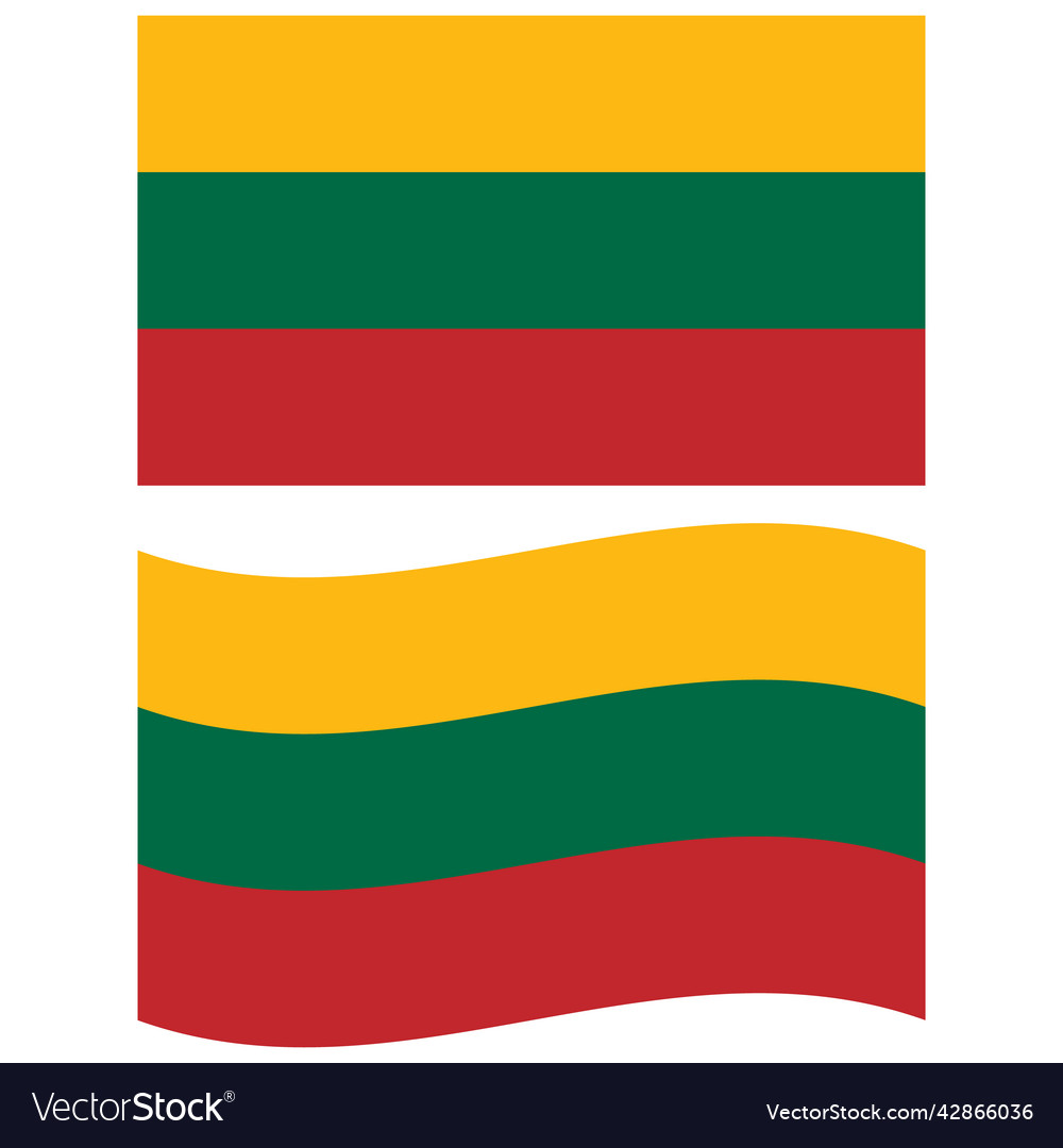 Flag of lithuania national flat