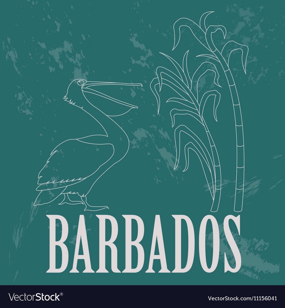 Barbados national symbols pelican sugarcane retro