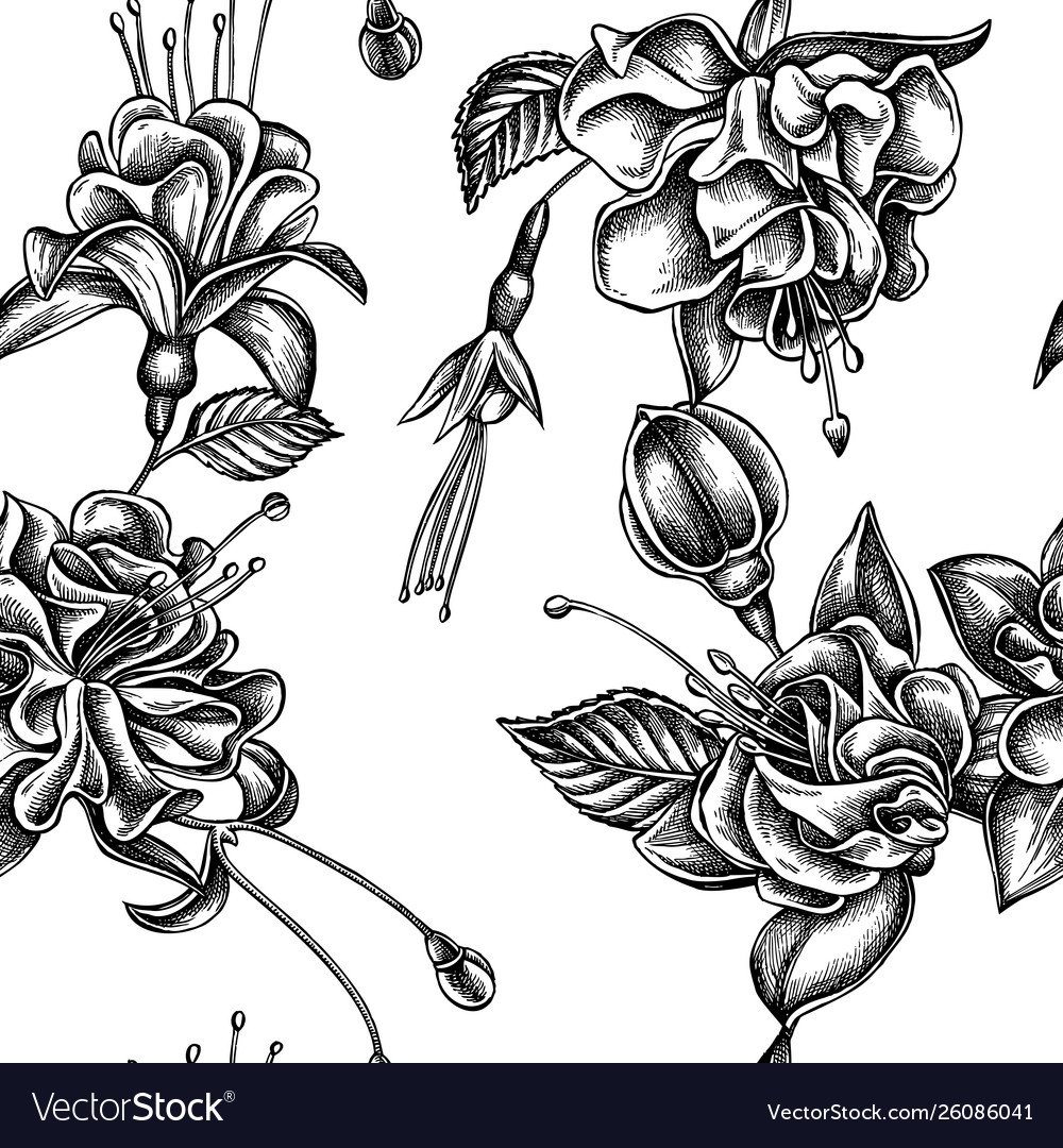 Seamless pattern with black and white fuchsia