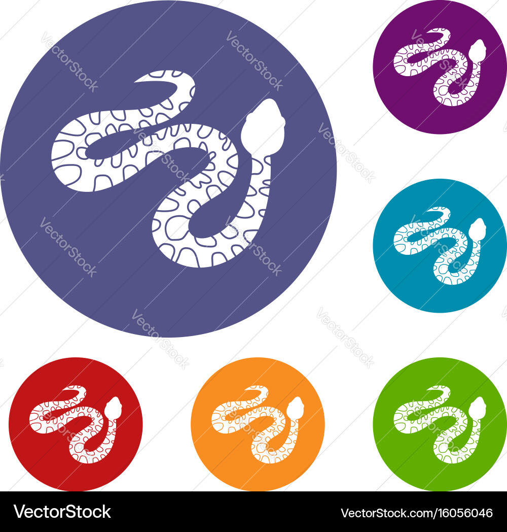 Spotted snake icons set Royalty Free Vector Image