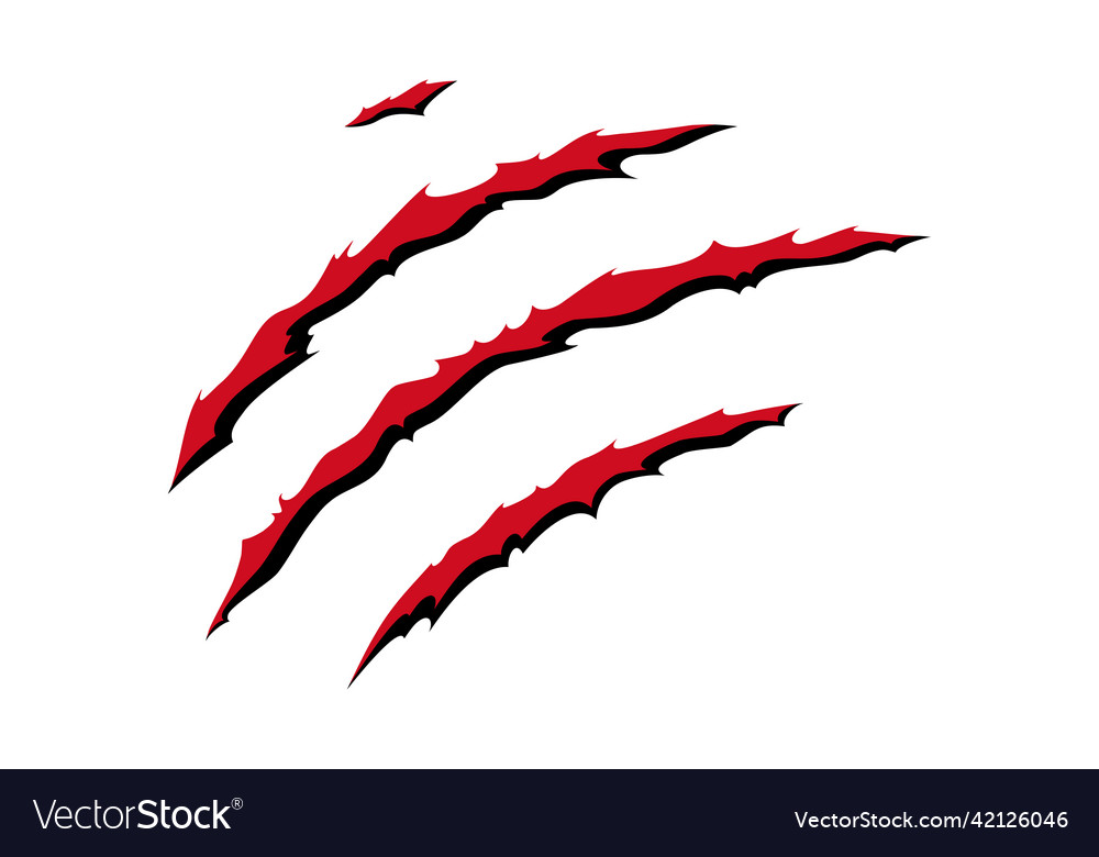 Wild Animal Claw Scratches