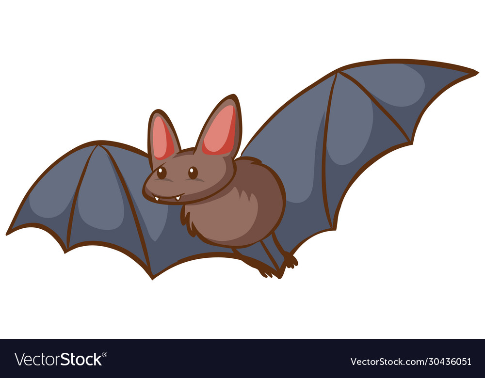 One bat flying on white background Royalty Free Vector Image