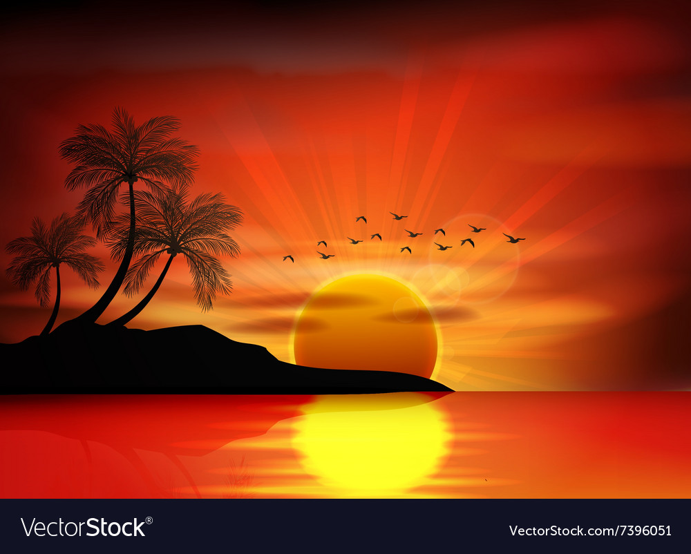 Sunset Background On Beach Royalty Free Vector Image 2459