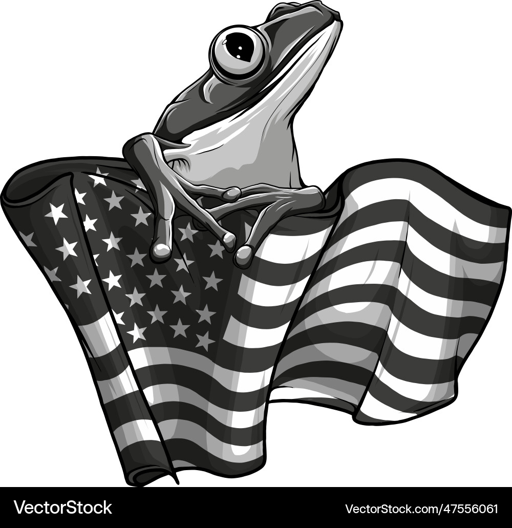 Monochrome american flag with frog Royalty Free Vector Image
