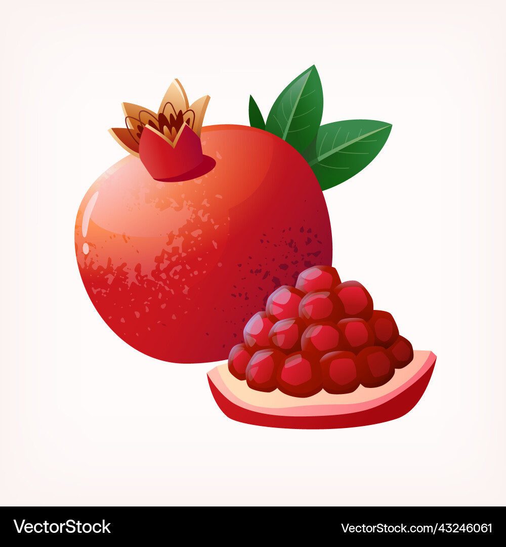 Sliced Pomegranate Fruit Isolated Royalty Free Vector Image
