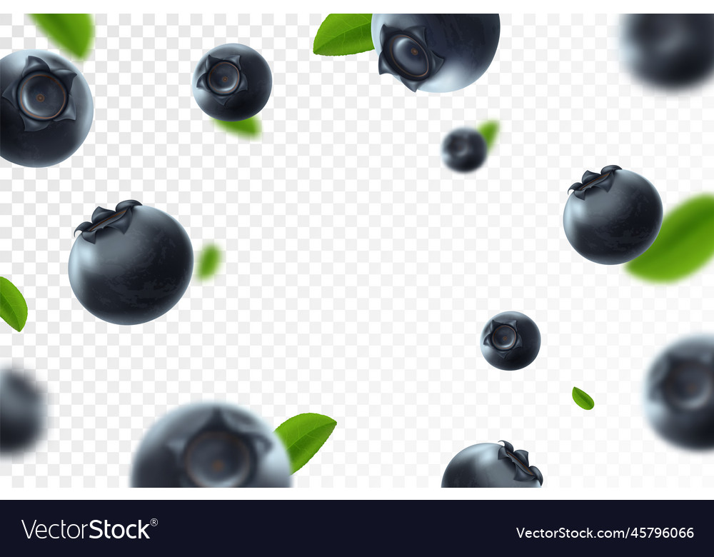 Blueberry background fresh berry with green