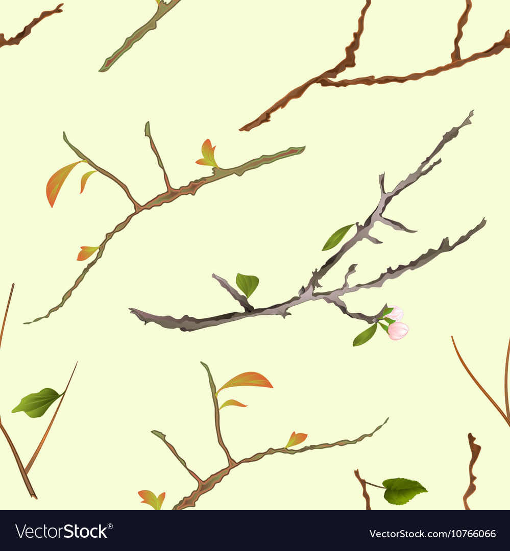 Seamless texture branch various sprigs twig tree