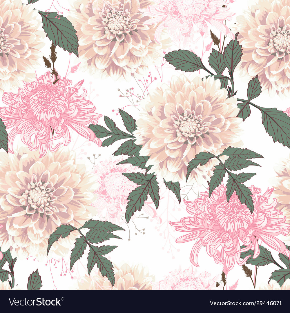 Dahlia and pink chrysanthemums flowers Royalty Free Vector