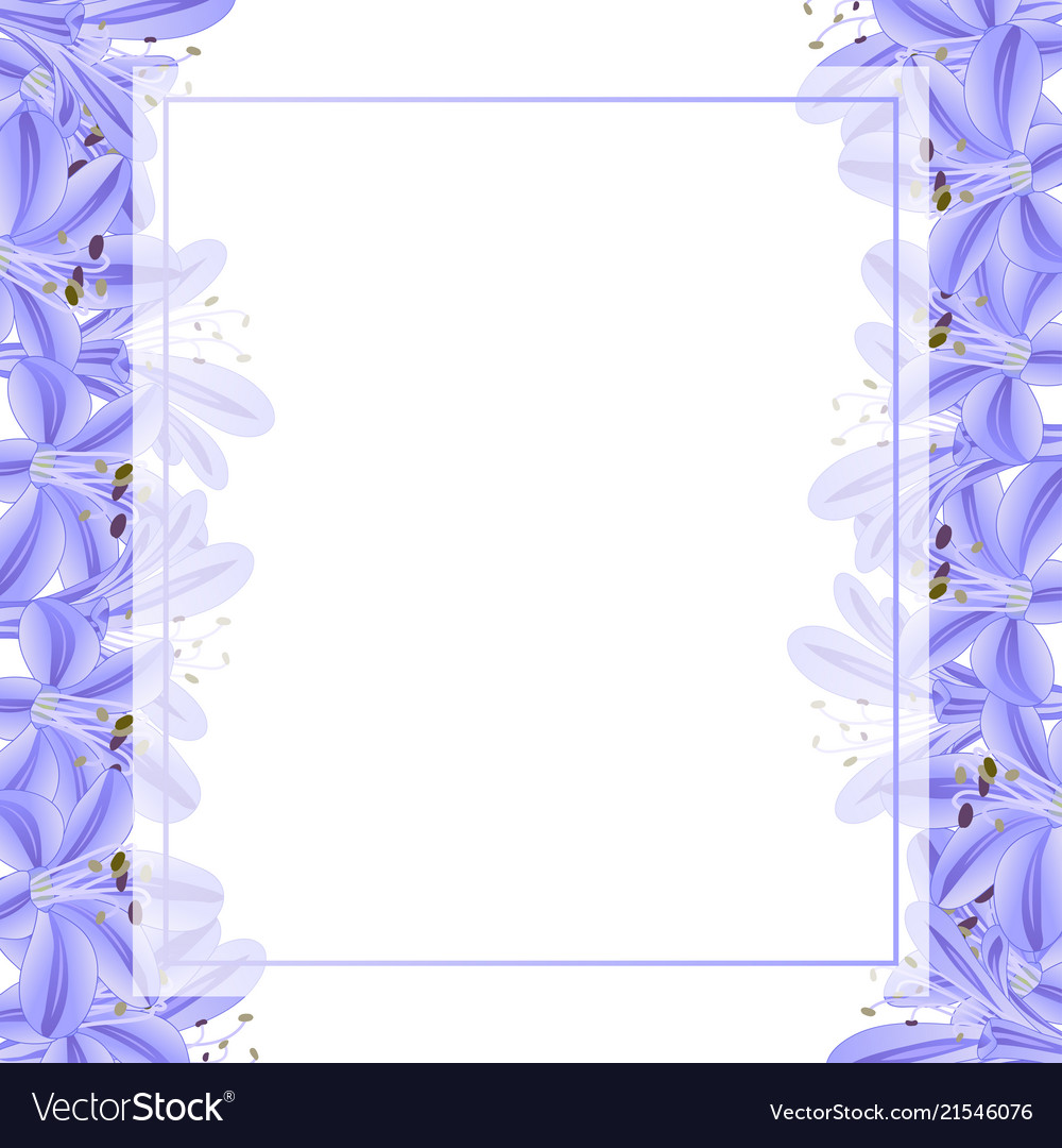 Blue purple agapanthus banner card border Vector Image