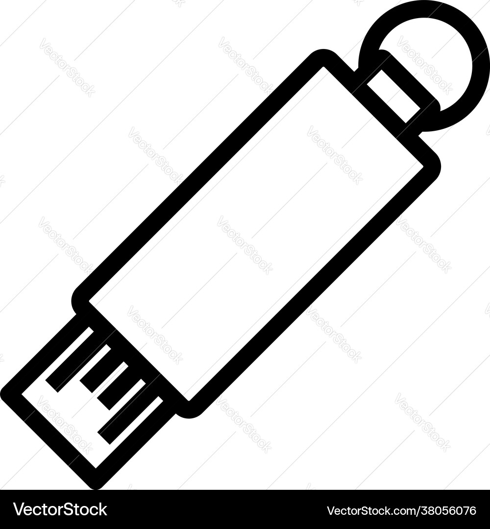 Usb flash icon Royalty Free Vector Image - VectorStock