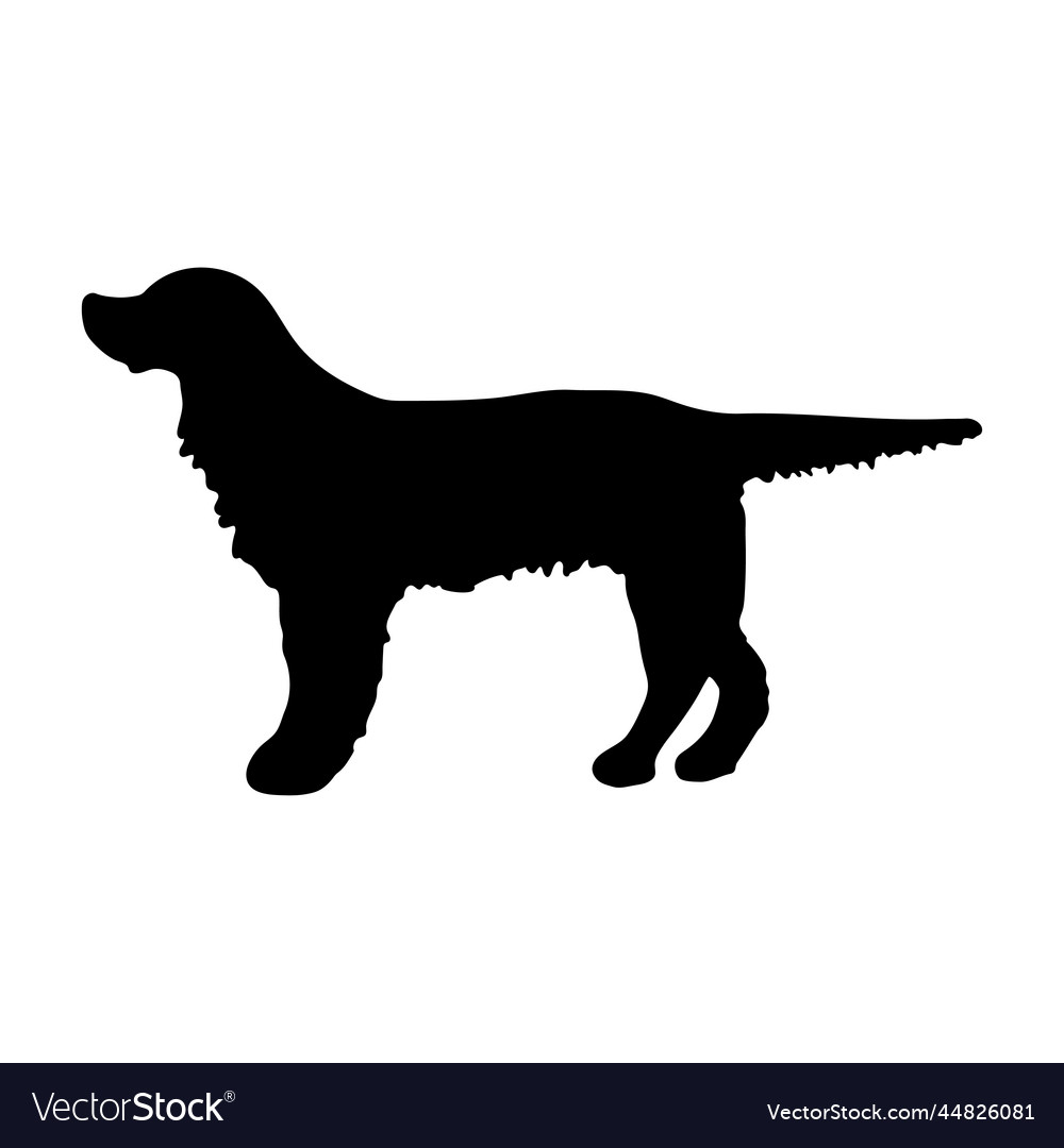 English setter black silhouette of a dog