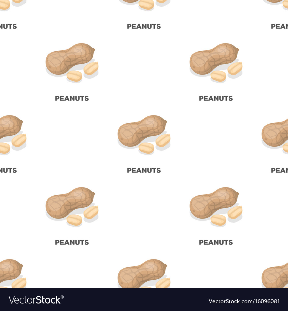Peanut in the shelldifferent kinds of nuts single