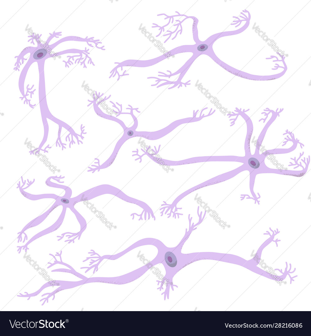 Neuron cells simple design vector image Neuron cells simple design