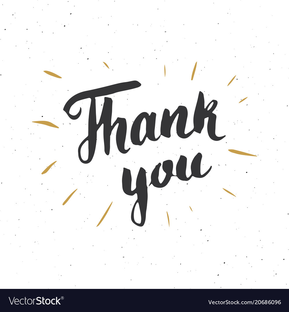 Thank you lettering quote hand drawn calligraphic Vector Image