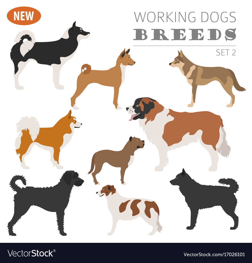 Working watching dog breeds set icon isolated