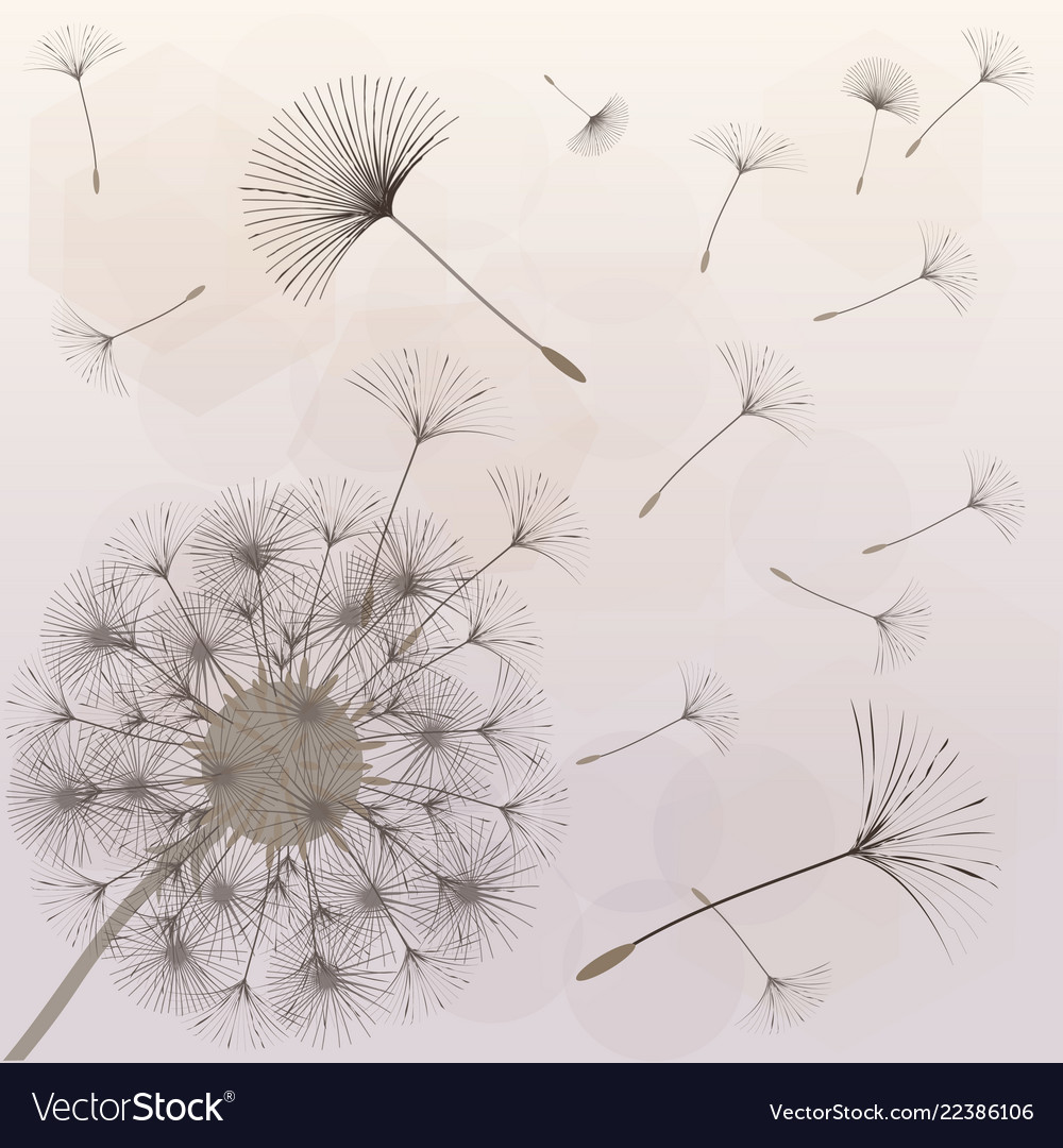 Abstract background of a dandelion for design vector image Abstract background of a dandelion for design