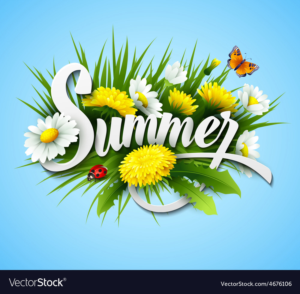 Fresh summer background with grass dandelions Vector Image