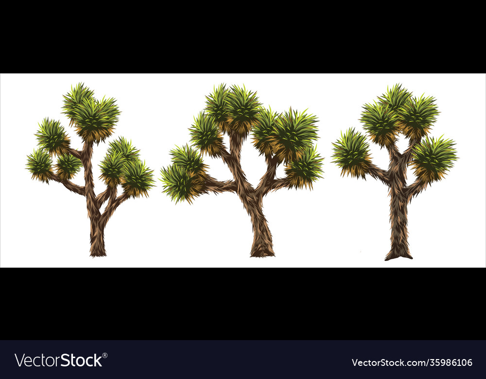 Joshua Tree in Desert Landscape