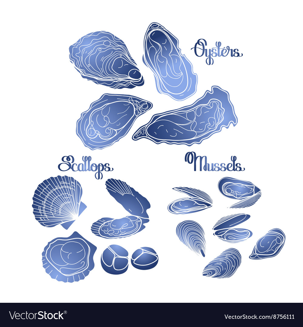 What Is the Difference Between Clams, Mussels, Oysters, and Scallops?