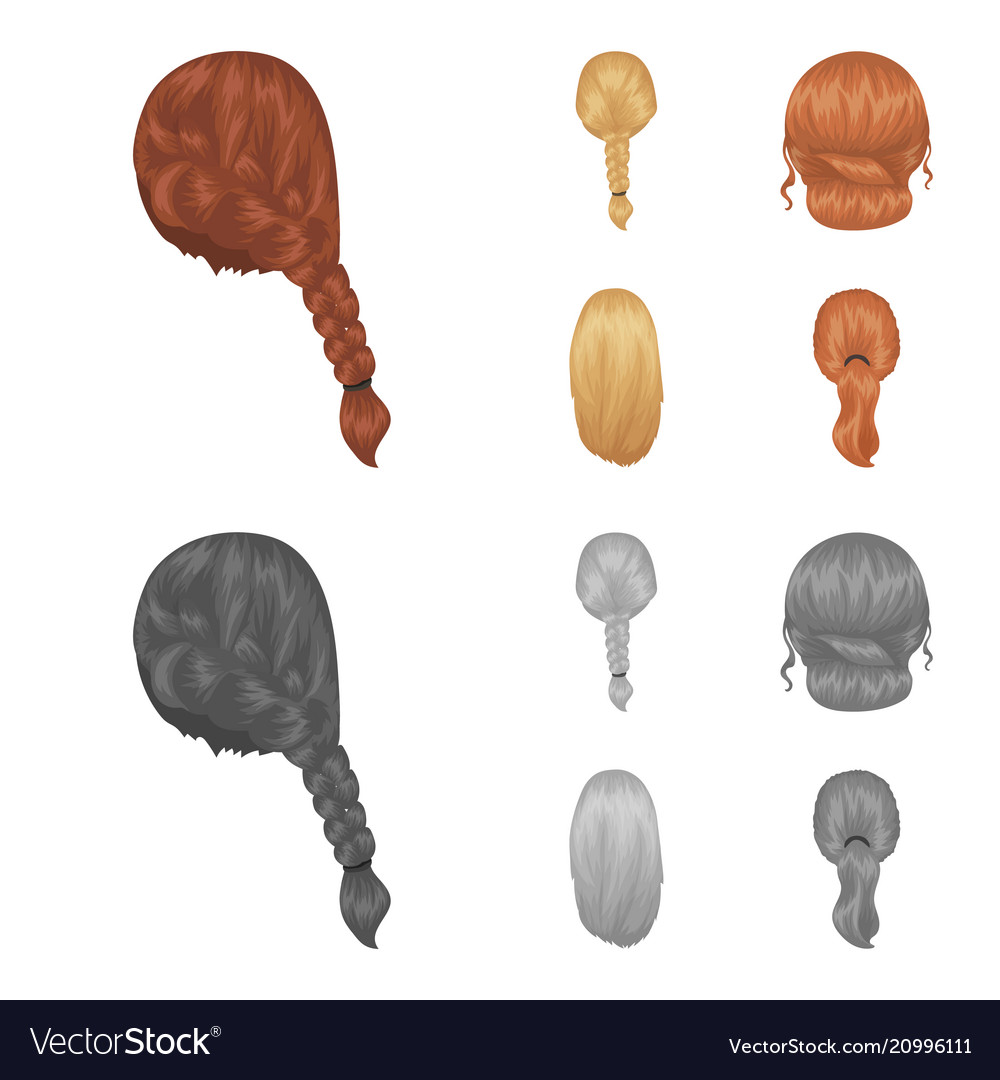 Light Braid Fish Tail And Other Types Royalty Free Vector