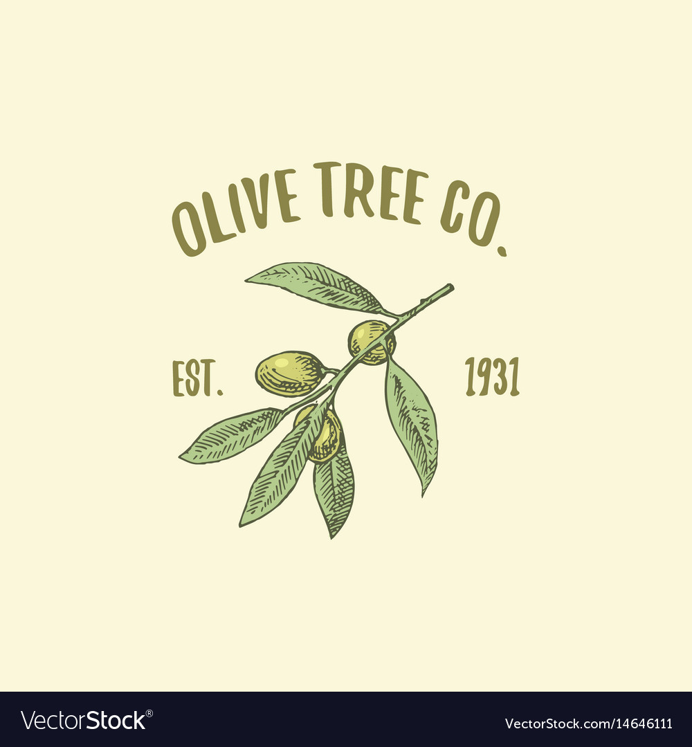 olive tree logo engraved