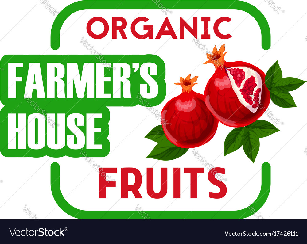 Organic fruit label design with pomegranate branch