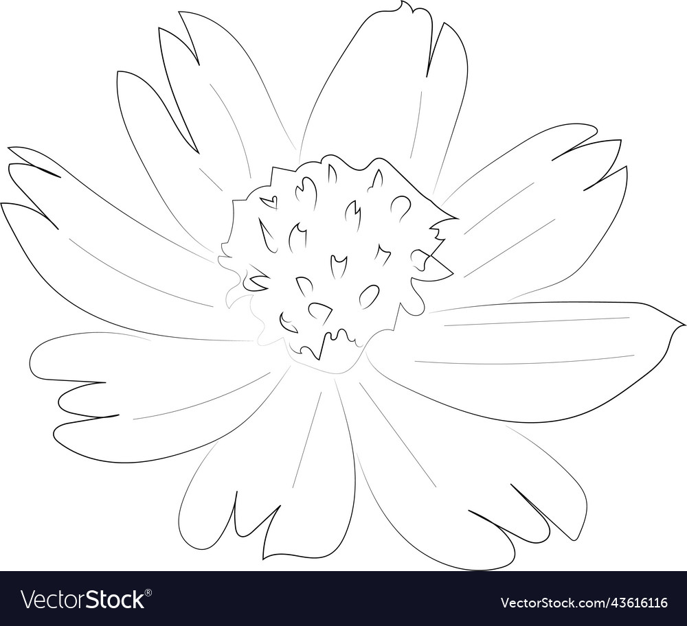 A simple black and white line pattern