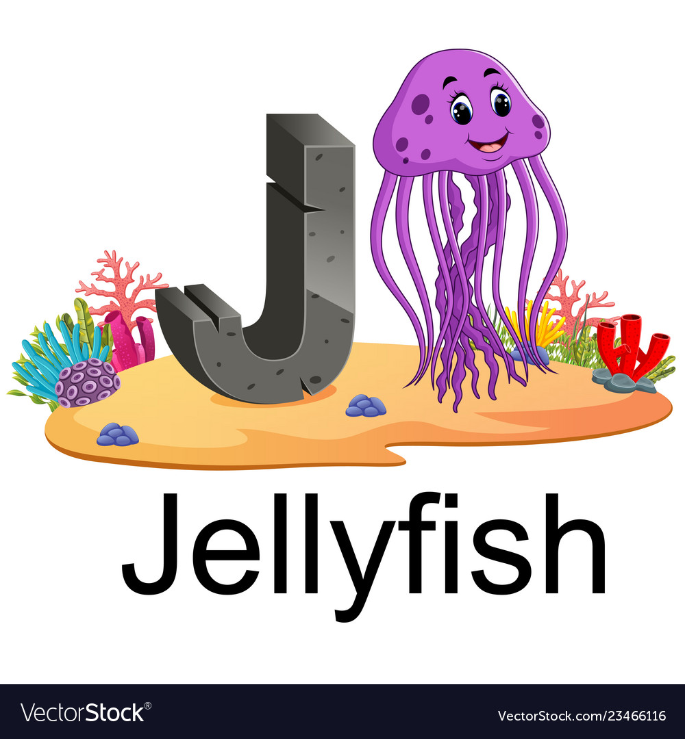 Cute Zoo Animal Alphabet J For Jelly Fish Vector Image