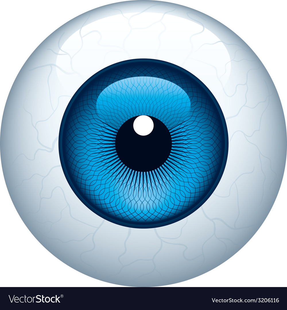 Eyeball Royalty Free Vector Image - VectorStock