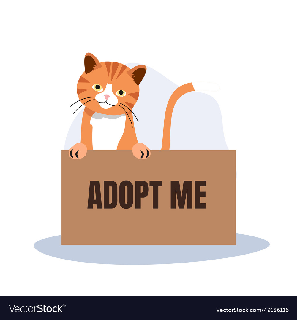 Pet adoption and fostering concept orange cat Vector Image